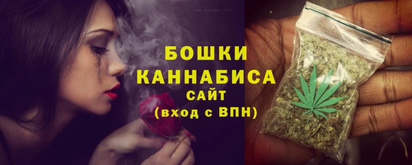 хмурый Бронницы