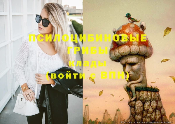 хмурый Бронницы