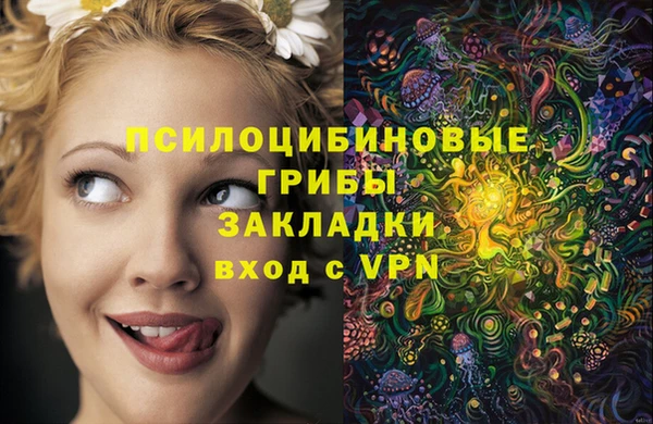 хмурый Бронницы