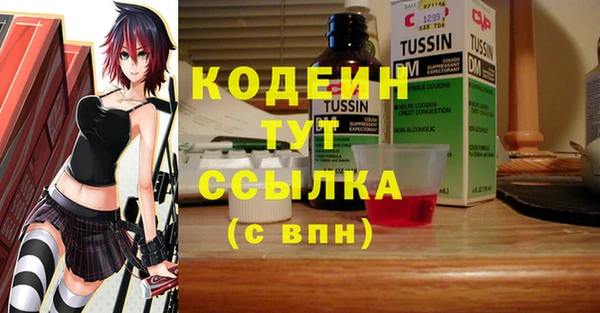 хмурый Бронницы