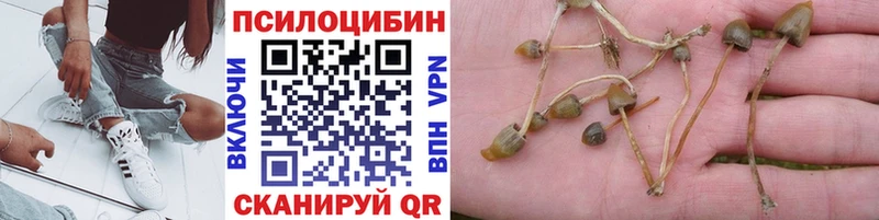 MEGA tor  Ува  Галлюциногенные грибы ЛСД 